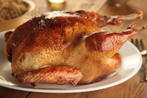 Giving Thanks in Every Language