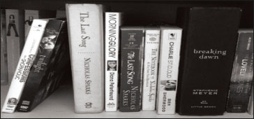From Bookshelves to Tinseltown