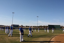 America's Pastime