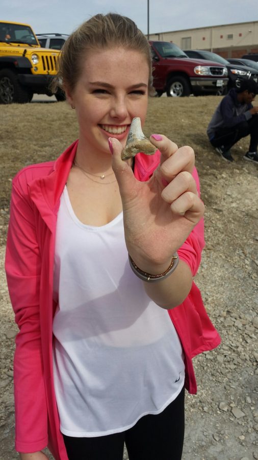 Rare Shark Tooth Found on Dig