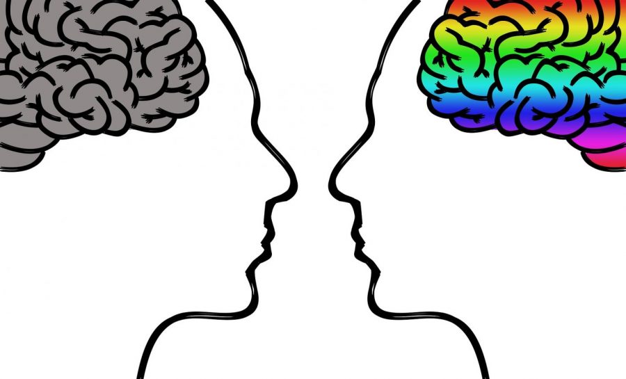 Psychology Club Uses Meetings and Instagram as  Peer-Tutoring Resource