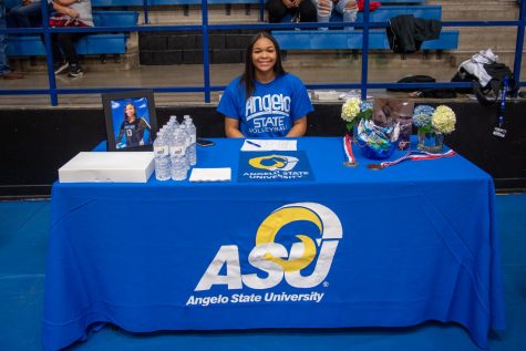 Kaila Garnett, Volleyball, University of Arkansas Monticello