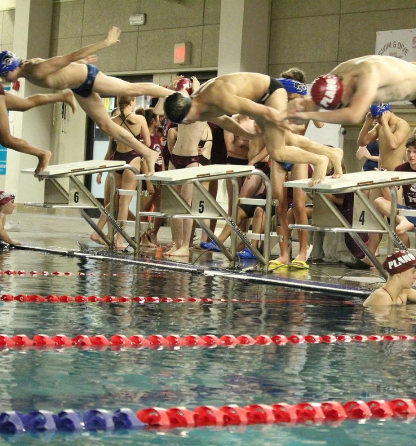 Plano West Swim Glides to State